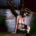 MISTRUST THE ANGELS (CD)
